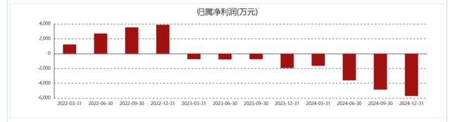 bestc註冊:瑞華泰2024年淨利續虧 折曡屏用CPI薄膜量産在即